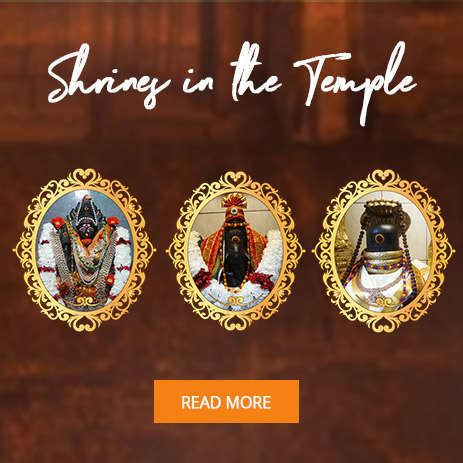 Shrines in the Temple